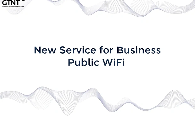 Public Wi-Fi Deployment for Business